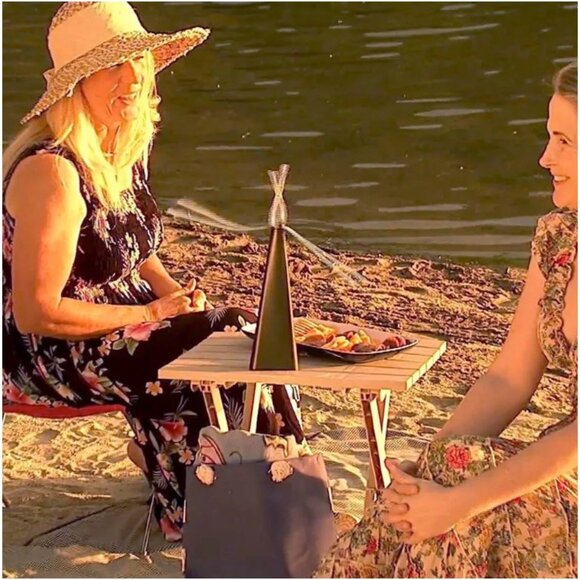 Bernini Table Guard Fly Fan Indoor/Outdoor Pest Control - Picture 5 of 8